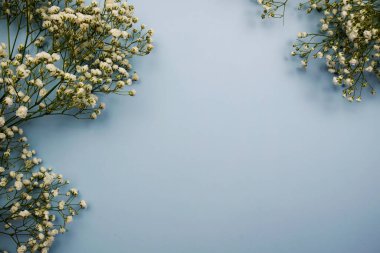 Mavi arkaplanda kopya arkaplanı ve çiçek süslemesi için boşluk