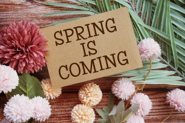 Bahar geliyor motivasyonel ve ilham verici alıntılar, ahşap arka planda çiçek buketi dekorasyonu