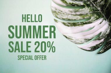 Hello Summer Sale 20% Special Offer with monstera leaf on green background