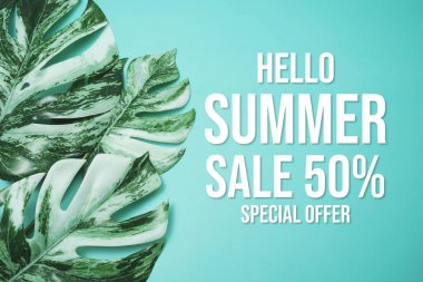 Hello Summer Sale 50% Special Offer with monstera leaf on blue background