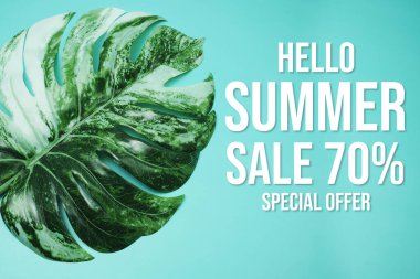 Merhaba Yaz Satışı% 70 Özel Teklif ve mavi arka planda canavar yaprağı