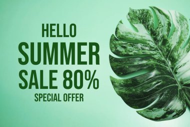Hello Summer Sale 80% Special Offer with monstera leaf on green background