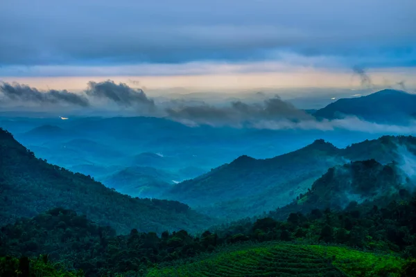 Malappuram 'ın Nilambur ilçesindeki Karimbayikota Kurishumala tepeleri.