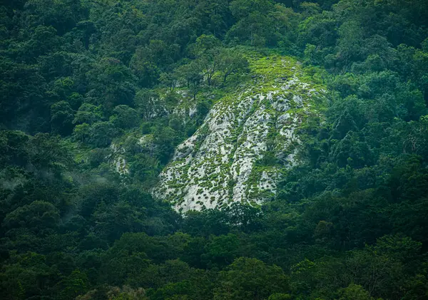 Malappuram 'ın Nilambur ilçesindeki Karimbayikota Kurishumala tepeleri.