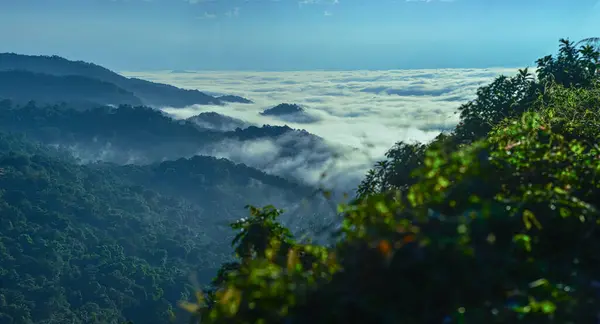 Malappuram 'ın Nilambur ilçesindeki Karimbayikota Kurishumala tepeleri.