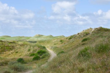 Dunes covered in green grass on a summer day
