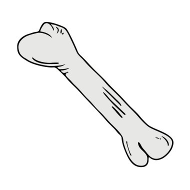 Kemik illüstrasyonunun yaratıcı tasarımı 