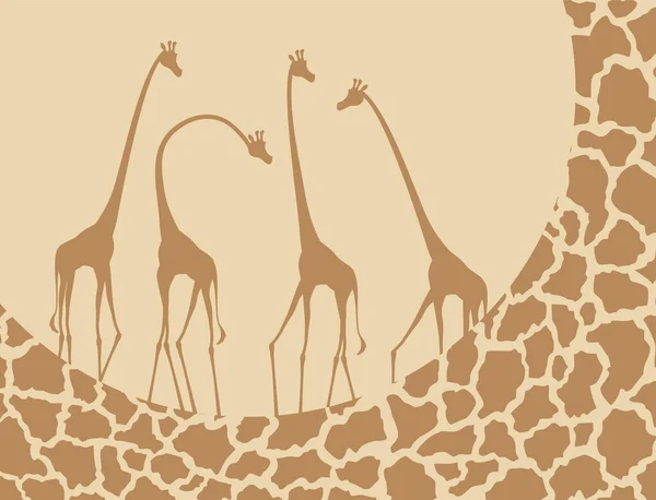 Design Creativo Belle Giraffe Illustrazione — Vettoriale Stock