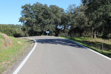 Alandaki yolun NIce resmi