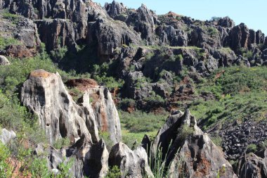 Olay yerinin NIce resmi