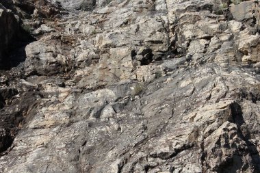 Taş dokusunun NIce resmi