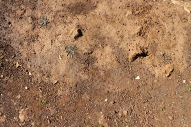 Kara zemin dokusunun NIce resmi