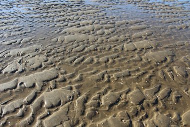 Plaj kum fotoğrafının NIce görüntüsü