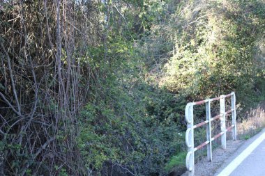 Alan fotoğrafının NIce resmi