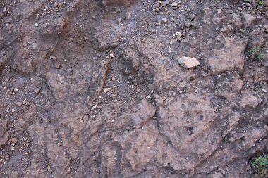 Kaya dokusunun NIce resmi