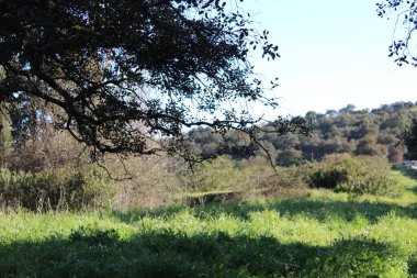 Alan fotoğrafının NIce resmi