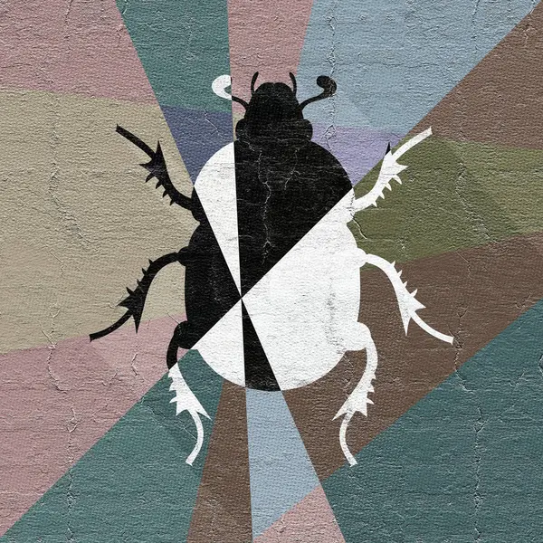 Nice Image Beetle Icon — Stock Photo, Image