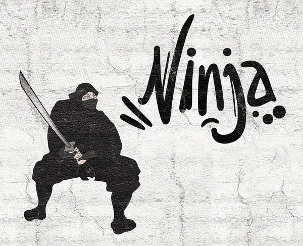 Mooi Beeld Van Zwarte Ninja Tekening — Stockfoto