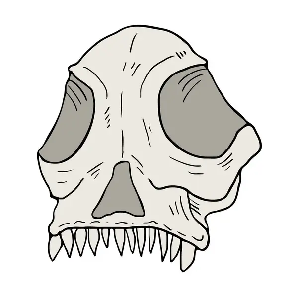 Kreativ Utforming Skull Illustrasjon – stockvektor