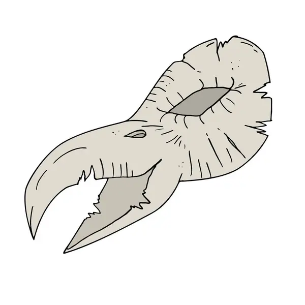 Kuş Kafatası Çiziminin Yaratıcı Tasarımı — Stok Vektör