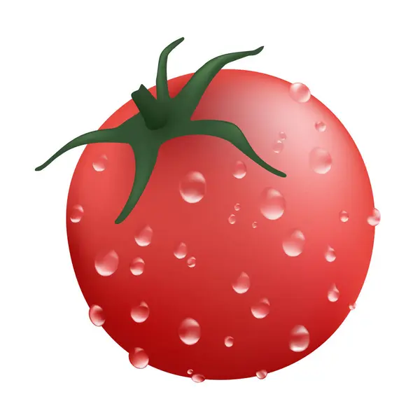 Creative Design Fresh Tomato Illustration – Stock-vektor