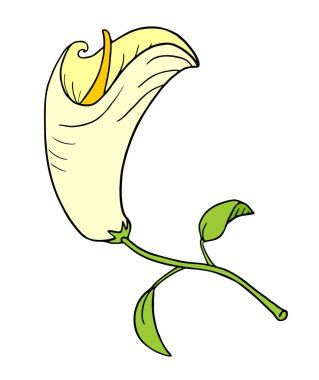 Sarı çiçeğin yaratıcı tasarımı