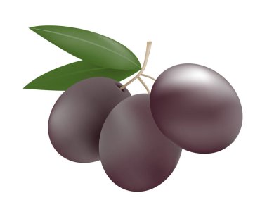 Doğanın yaratıcı zeytin çizimi