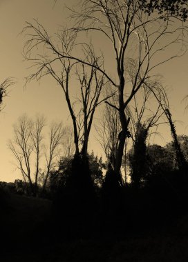 Gizem alanının yaratıcı tasarımı