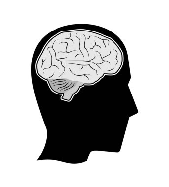 İnsan beyninin yaratıcı tasarımı