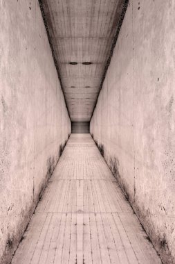 Fantezi koridorunun yaratıcı tasarımı