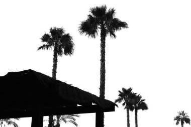 Tatil köyü fotoğrafının güzel bir resmi.