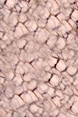 Soyut arkaplanın asıl görüntüsü