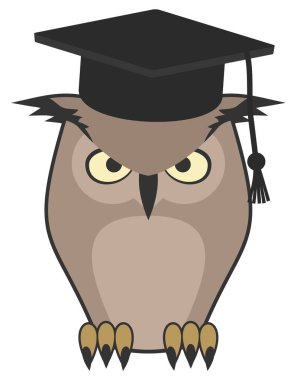 Öğrenci baykuşunun yaratıcı tasarımı