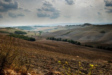 Siena tepelerinin Toskana manzarası hasat sonrası sonbahar tarım aşamaları