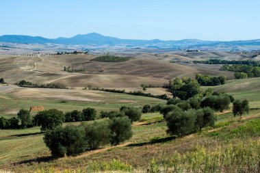 Siena tepelerinin Toskana manzarası hasat sonrası sonbahar tarım aşamaları