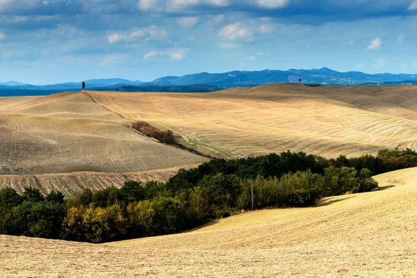 Toscaans Landschap Van Sienese Heuvels Tarwevelden Oogst — Stockfoto