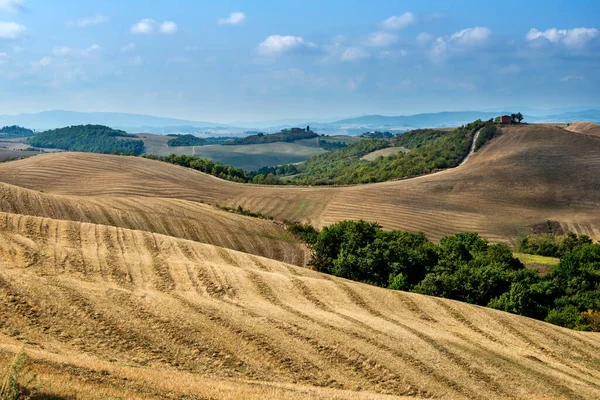 Tuscan Landscape Sienese Hills Wheat Fields Harvest Stock Image