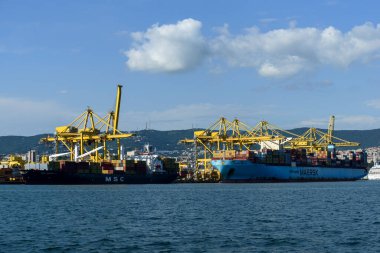 Trieste, İtalya - 8 Haziran 2023: Trieste limanının rıhtım manzaralı konteyner vinçleri denizden görüldü