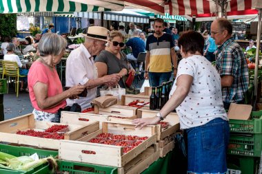 Graz, Avusturya - 26 Ağustos 2023: Kaiser-Josef-Platz 'daki çiftçi pazarında sebzeler ve meyvelerle oyalama