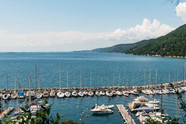 Trieste Körfezi 'nde, Trieste Körfezi' ndeki Miramare Şatosu 'nun yanında midye suları.