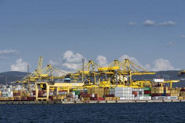 Trieste, İtalya - 7 Haziran 2023: Yükleme için vinçlerle Trieste Limanı VII. Pier 'in görüntüsü: