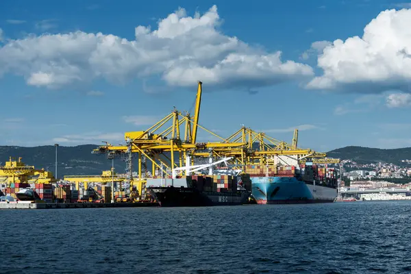 Trieste, İtalya - 7 Haziran 2023: Kargo gemileri Trieste Limanı yükleme iskelesine yanaştı: boşaltma konteynırları