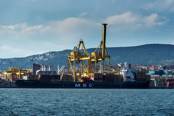 Trieste, İtalya - 7 Haziran 2023: Kargo gemileri Trieste Limanı yükleme iskelesine yanaştı: boşaltma konteynırları