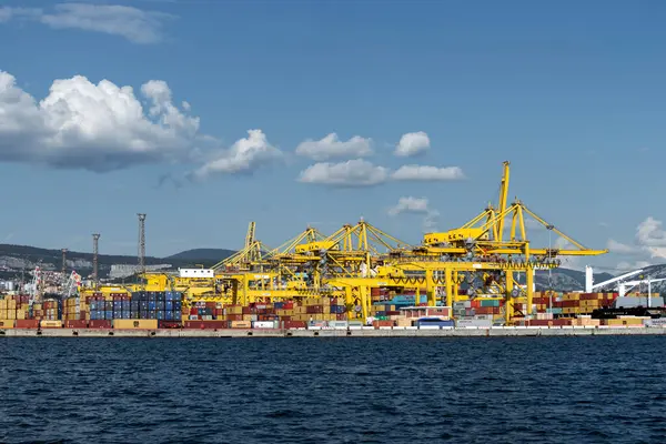 Trieste, İtalya - 7 Haziran 2023: Yükleme için vinçlerle Trieste Limanı VII. Pier 'in görüntüsü: