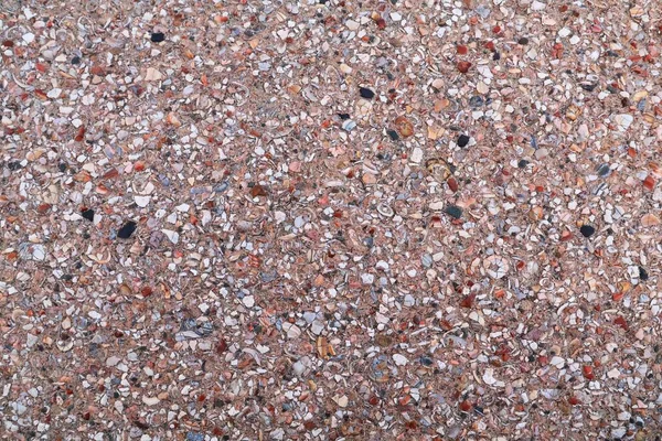 Kamień Zrobiony Muszli Morskich Ścieżka Spacerowa Falochronie Widok Góry — Zdjęcie stockowe