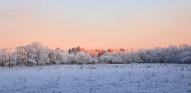  Güzel panoramik karlı manzara. Kış manzarası.