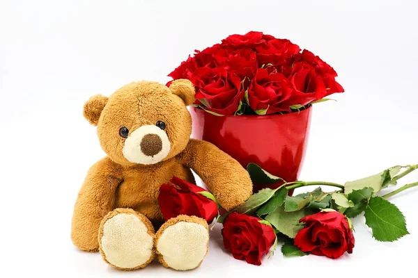 Red roses and teddy bear isolated on a white background. Concept valentine, love.,..