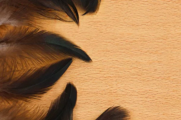 木製の背景に隔離された茶色の羽 コピースペース イースターの背景 — ストック写真