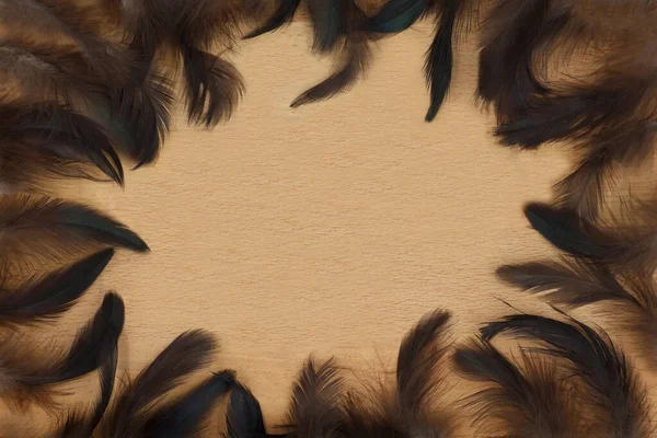 周りの羽のある木製の背景 イースターの背景 スペースのコピー — ストック写真