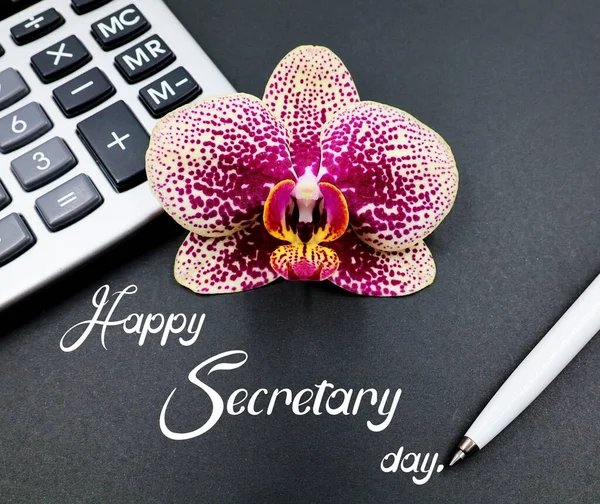 Ορχιδέα Λουλούδι Phalaenopsis Αριθμομηχανή Και Στυλό Έννοια Ευτυχισμένη Ημέρα Γραμματέων — Φωτογραφία Αρχείου